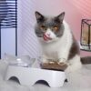 MILIFUN Cat Bowls, Cat Food Bowls Elevated Tilted, Anti Vomiting Kitty Bowls for Puppy and Bunny, Orthopedic Cat Bowls for Indoor Cats. (Pink)
