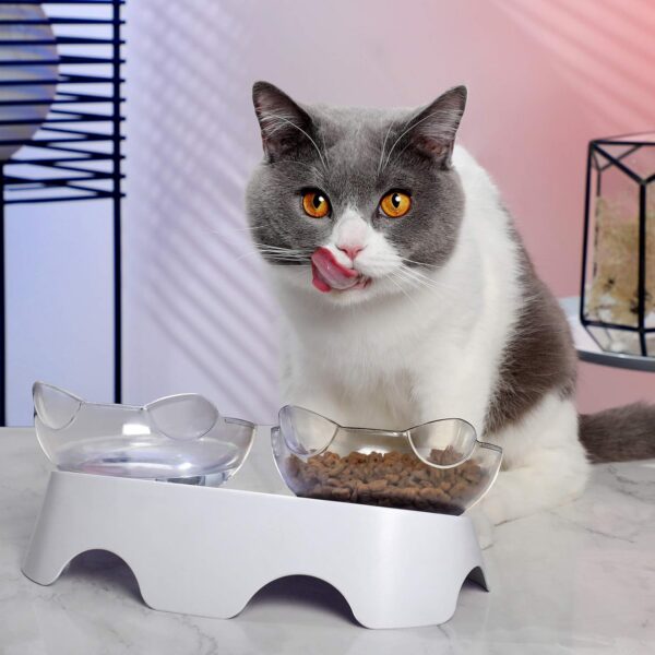 MILIFUN Cat Bowls, Cat Food Bowls Elevated Tilted, Anti Vomiting Kitty Bowls for Puppy and Bunny, Orthopedic Cat Bowls for Indoor Cats. (Pink)