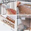 Parrot Automatic Feeder,No-Mess Bird Feeder,Cage Accessories for Budgerigar Canary Cockatiel Finch Parakeet Seed Food Container by Old Tjikko (Screw-Fixed Bird Feeder)
