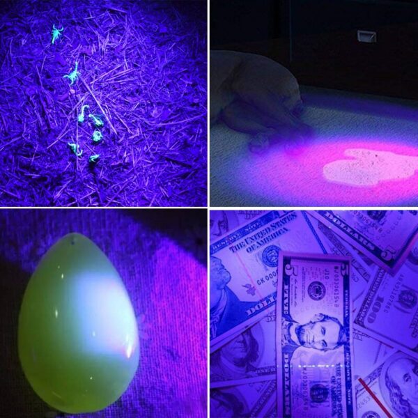 c957f2f5541dfdfb UV LED Portable 395nm Black Light Wavelength Violet Flashlight Pet Urine Scorpion Feminine Hygiene Detector Torch