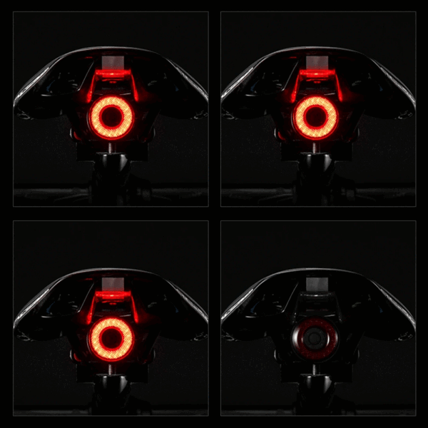 c9b42f4b7194bfec ROCKBROS Bicycle Smart Auto Brake Sensing Light IPx6 Waterproof LED Charging Cycling Taillight Bike Rear Light Accessories Q5