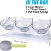 Raised Cat Bowl with Stand, 15° Tilted Cat Bowls for Kittens Elevated Cat Bowl Anti Vomiting Double Cat Bowls Plastic Transparent Cat Feeding Bowl