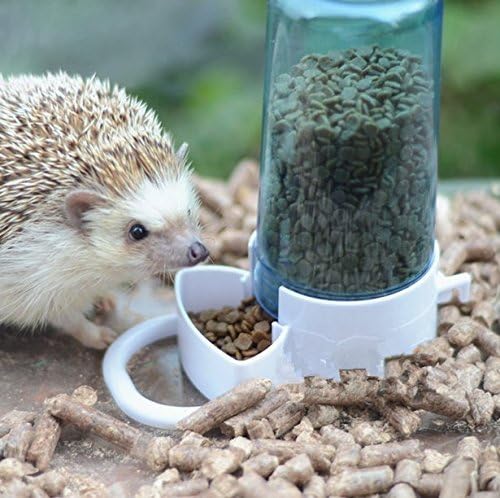 cbf5b9d8b1936c1d Pet Feeder Automatic,Bird Hamster Small Animal Feeder, Automatic Feeding Device Dispenser for Hamster Bird Pigeon Parrots Mini Hedgehog with Holder (5.90x2.83x6.10in)