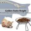 cc0f53ebaccaf43c Cat Bowls, Elevated Cat Bowl, Raised Ceramic Cat Dish with Metal Stand, Pet Water or Food Feeding Station for Indoor Cats, Kitten, Puppies and Small Dogs(2 Pack)