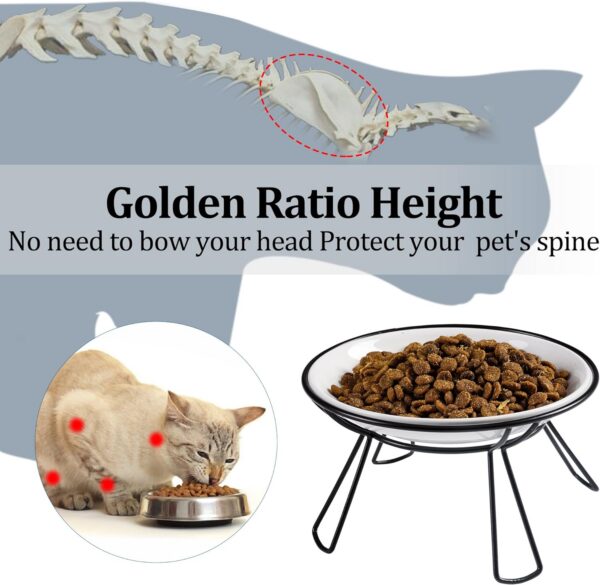 cc0f53ebaccaf43c Cat Bowls, Elevated Cat Bowl, Raised Ceramic Cat Dish with Metal Stand, Pet Water or Food Feeding Station for Indoor Cats, Kitten, Puppies and Small Dogs(2 Pack)