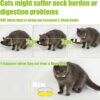 cc3e7ba172ba7919 Yangbaga Raised Cat Food & Water Bowl, 4.96 in High Cat Food Bowl for Indoor Cats, Reduce Neck Burden & Easy to Clean