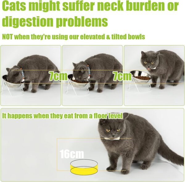 cc3e7ba172ba7919 Yangbaga Raised Cat Food & Water Bowl, 4.96 in High Cat Food Bowl for Indoor Cats, Reduce Neck Burden & Easy to Clean