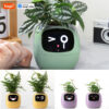 Tuya Ivy Smart Planter,Endless Over 49 Rich Expressions,7 smart sensors,AI Chips Make Raising Plants Easy and Fun