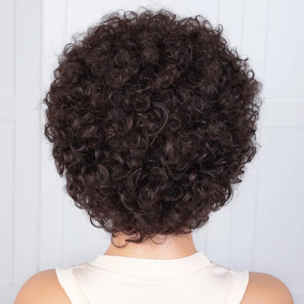 cdd7918764396df1 Pixie Short Afro Bob Human With Bangs For Women Brazilian Remy Hair Wear and Go Natural Brown Kinky Curly Wigs