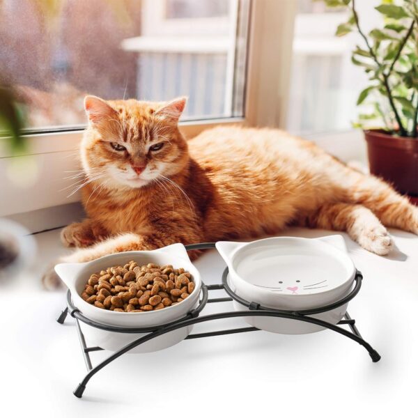 cddd82a06fa9442c Y YHY Raised Cat Food Bowls,Pet Bowls with Stand,Ceramic Cat Dog Bowls Elevated,Cute Cat Dishes,12 Ounces,Dishwasher Safe