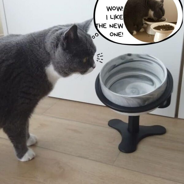 Adjustable Raised Cat Food Bowl, Tilted Elevated Bowl (1-Pack, Black)
