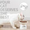 cf8111cbd109d1f3 FOREYY Raised Cat Food and Water Bowl Set, Whisker Friendly Elevated Ceramic Cats Feeder Bowls with Anti Slip Ring, Anti-Vomiting Shallow High Porcelain Pet Kitten Dish, Dishwasher Safe(White)