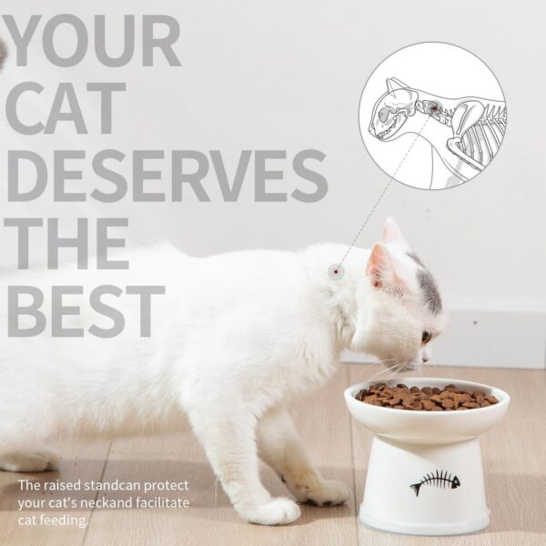 cf8111cbd109d1f3 FOREYY Raised Cat Food and Water Bowl Set, Whisker Friendly Elevated Ceramic Cats Feeder Bowls with Anti Slip Ring, Anti-Vomiting Shallow High Porcelain Pet Kitten Dish, Dishwasher Safe(White)
