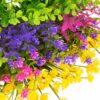 cf9a4a9a2a1a1649 12 Bundles Outdoor Artificial Fake Flowers UV Resistant No Fade Boxwood Faux Plastic Shrubs Plants for Garden Patio Porch Window Box Home Wedding Farmhouse Hanging Décor