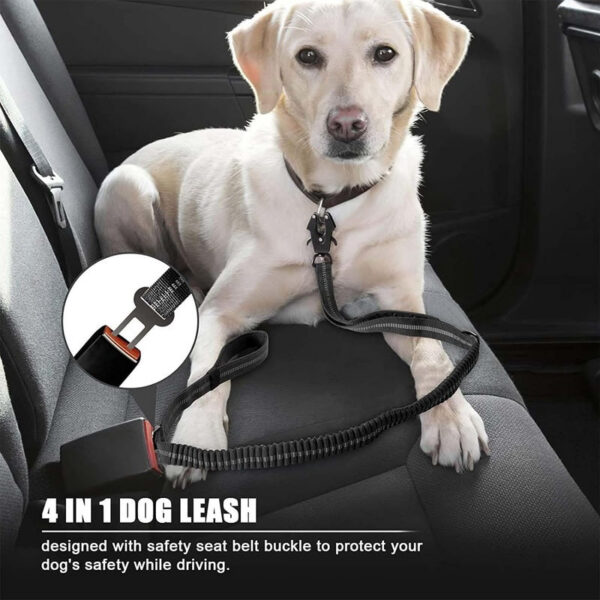 Reflective Shock Absorbing Pet Leashes with Car Seatbelt for Large Dogs Heavy Duty Tactical Bungee No Pull Dog Leash