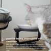 Adjustable Raised Cat Food Bowl, Tilted Elevated Bowl (1-Pack, Black)