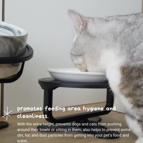 Adjustable Raised Cat Food Bowl, Tilted Elevated Bowl (1-Pack, Black)