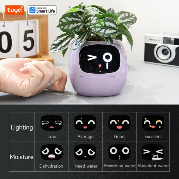 Tuya Ivy Smart Planter,Endless Over 49 Rich Expressions,7 smart sensors,AI Chips Make Raising Plants Easy and Fun