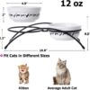 Y YHY Cat Bowls Elevated, Ceramic, 12 Ounces, Reduce Neck Burden, Anti Vomiting, Dishwasher Safe