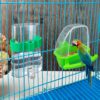 d1db9738dc5abcb2 2 Pcs Automatic Bird Water Dispenser, Parrot Bird Water Feeder, Bottles Bird Drinker Seed Food Container, Parakeet Cage Accessories for Parakeet Budgies Cockatiel Lovebird Small Birds Canary Finch