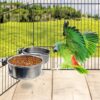 d24b414e31c67944 PINVNBY Parrot Feeding Cups Birds Food Dish Stainless Steel Parrot Feeders Water Cage Bowls with Clamp Holder for Cockatiel Conure Budgies Parakeet Parrot Macaw Small Animal Chinchilla Pack of 2