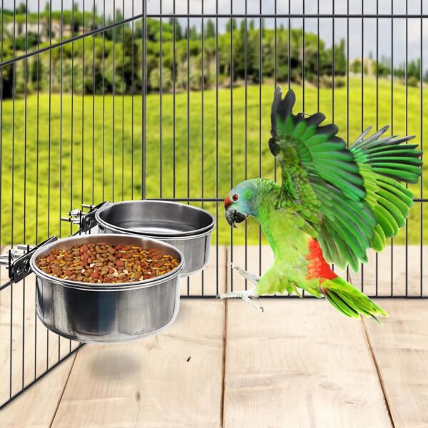 d24b414e31c67944 PINVNBY Parrot Feeding Cups Birds Food Dish Stainless Steel Parrot Feeders Water Cage Bowls with Clamp Holder for Cockatiel Conure Budgies Parakeet Parrot Macaw Small Animal Chinchilla Pack of 2