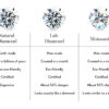 CANNER 0.5-1.2 Carat D Color Moissanite Ear Stud Earrings For Women 925 Sterling Silver Sparkling Piercing Earring Fine Jewelry