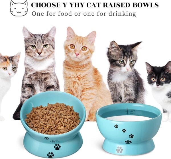 Y YHY Raised Cat Food Bowl Set, Ceramic, Tilted Elevated Bowls, 2 Bowls, 3.6 in & 3 in, White