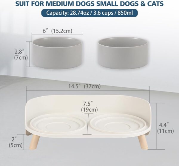d2fb1bafbb29c03e Cat Food Water Bowl Set - Raised Cat Bowls with Non Slip Stand - Elevated Puppy Bowls for Small Dogs - Double Ceramic Cat Feeding Bowls with Splash Proof Guard - Tall Cat Dishes - 2 x 480 ML - 16.2 OZ