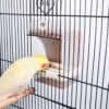 d345c1de3291b6cd Rypet No-Mess Bird Feeder - Parrot Integrated Automatic Feeder for Small to Medium Birds