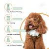 d37e135b4cb92df7 Professional 4-in-1 Electric Pet Grooming Tool Set Dog Hair Clippers USB Rechargeable Pets Haircut Trimmer Shaver Cats Supplies