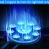 Propane Stove 2 Burner Gas Stove Novel 9 Copper Propane Burners Auto Ignition Tempered Glass with LPG CSA Hose for Outdoor Cooking,Emergency