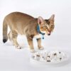Slow Food Bowl for Cats,Fun Interactive Pet Feeding Bowl,Fish Design Feeding Tray Prevents Cats from Gulping,Indigestion and Obesity,Slow Feeder for Cats and Puppies,Dishwasher Safe.