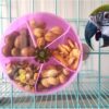 Bird Creative Foraging System Wheel Seed Food Ball Rotate Training Toy for Small and Medium Parrots Parakeet Cockatiel Conure (Blue)