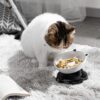 Y YHY Slow Feeder, Elevated Food Bowl Tilted Design for Dog and Cat for Dry and Wet Food