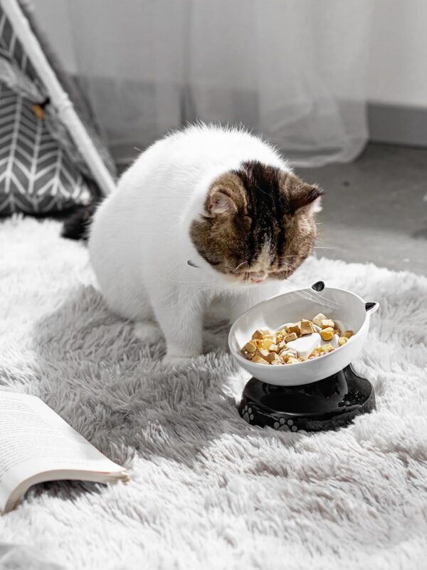 Y YHY Slow Feeder, Elevated Food Bowl Tilted Design for Dog and Cat for Dry and Wet Food