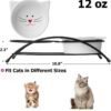 d5c634a6c2ffb392 Y YHY Raised Cat Food Bowls,Pet Bowls with Stand,Ceramic Cat Dog Bowls Elevated,Cute Cat Dishes,12 Ounces,Dishwasher Safe