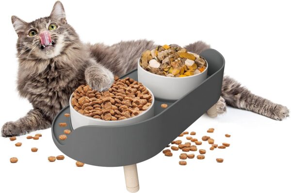 d66c09c2d0d73188 Cat Food Bowls, Elevated Ceramics Dog Cat Bowls Stand with No-Spill Design,3 Adjustable Heights Anti Vomiting Cat Water Bowl,5 inches Raised Bowl for Medium and Small Size Dog Cats