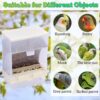 d99d4c4989f093ec PINVNBY No-Mess Bird Feeder Parrot Automatic Feeder Seed Food Container Perch Cage Accessories for Budgerigar Canary Cockatiel Finch Parakeet Green Cheek Conures Parrotlets Lovebirds
