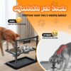 SHAINFUN Elevated Dog Bowls for Medium Dogs and Cats - Raised Cat or Dog Bowl Stand with Adjustable Height and Two Stainless Steel Food Bowls - Ideal for Medium and Small Dogs and Cats.