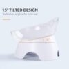 MILIFUN Raised Cat Food Bowls with Stand, Cat Dishes for Food or Water, Cat Tilted Bowl, Pet Dish with Stand