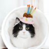 Namsan Holiday Pet Costume Cat Birthday Hat Small Dog Birthday Cake Hat Dog Birthday Party Supplies, Small