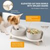 dc4a232ddf3d5f50 Cat Food Water Bowl Set - Raised Cat Bowls with Non Slip Stand - Elevated Puppy Bowls for Small Dogs - Double Ceramic Cat Feeding Bowls with Splash Proof Guard - Tall Cat Dishes - 2 x 480 ML - 16.2 OZ
