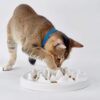 Slow Food Bowl for Cats,Fun Interactive Pet Feeding Bowl,Fish Design Feeding Tray Prevents Cats from Gulping,Indigestion and Obesity,Slow Feeder for Cats and Puppies,Dishwasher Safe.