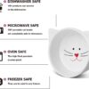 dc98a01d85aa7b0a Y YHY Raised Cat Food Bowls,Pet Bowls with Stand,Ceramic Cat Dog Bowls Elevated,Cute Cat Dishes,12 Ounces,Dishwasher Safe