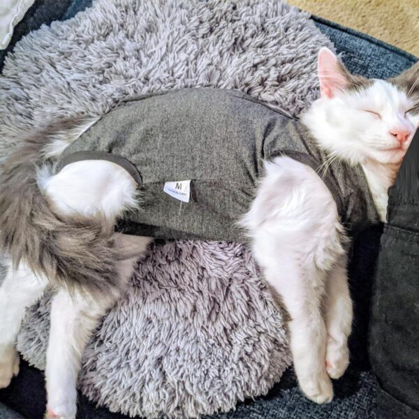 de790b286d9cd290 Cat Recovery Suit for Male and Female Surgical Post Surgery Soft Cone Onesie Shirt Clothes Neuter Licking Protective Diapers Outfit Cover Kitten Spay Collar(M, Grey)