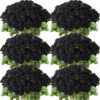 deaf778db4119a53 50 Pcs Artificial Rose Flower Realistic Silk Roses with Stem Bouquet of Flowers Plastic Flowers Real Looking Fake Roses for Home Wedding Centerpieces Party Decorations (Black)