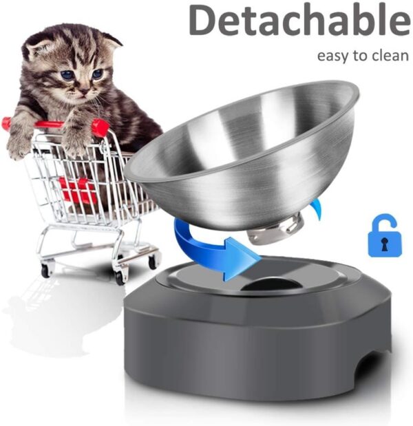 e002d536c5e4c141 Stainless Steel Cat Food Bowl, 15-Angle, Ergonomic Design Reduces Vomiting