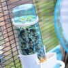 e0f290255868ee6f Pet Feeder Automatic,Bird Hamster Small Animal Feeder, Automatic Feeding Device Dispenser for Hamster Bird Pigeon Parrots Mini Hedgehog with Holder (5.90x2.83x6.10in)