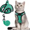 e20fe8871457da8e Cat Harness and Leash Set for Walking Escape Proof, Kitten Adjustable Small Large Lightweight Soft Vest Harness and Leash(Medium, Green)